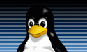 Linux-pingvin